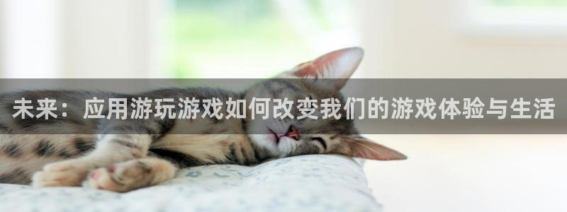 辉达娱乐平台登录：未来：应用游玩游戏如何改变我们的游戏体验与