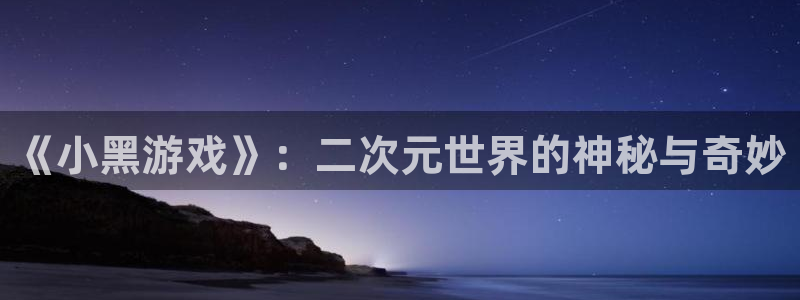 辉达娱乐平台登录：《小黑游戏》：二次元世界的神秘与奇妙