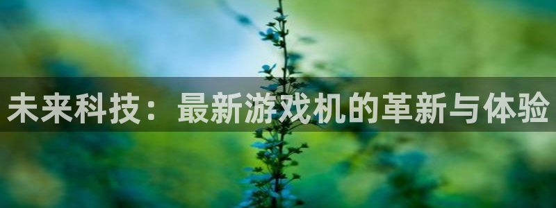 辉达娱乐登录：未来科技：最新游戏机的革新与体验