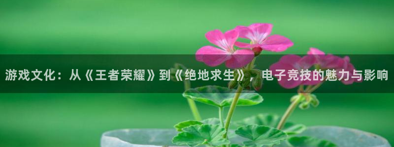 辉达娱乐Ii：游戏文化：从《王者荣耀》到《绝地求生》，电子竞