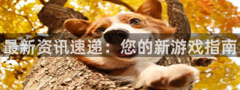 辉达娱乐网页登录入口：最新资讯速递：您的新游戏指南