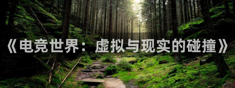 沐春辉达娱乐：《电竞世界：虚拟与现实的碰撞》