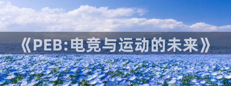 辉达娱乐注册开户：《PEB:电竞与运动的未来》